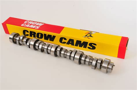 crow cams